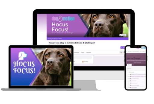 Hocus Focus