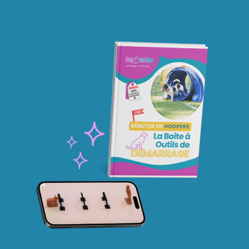 Boite à Outils de Démarrage en Hoopers