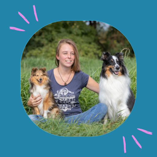 Priscilla dog-e-motion