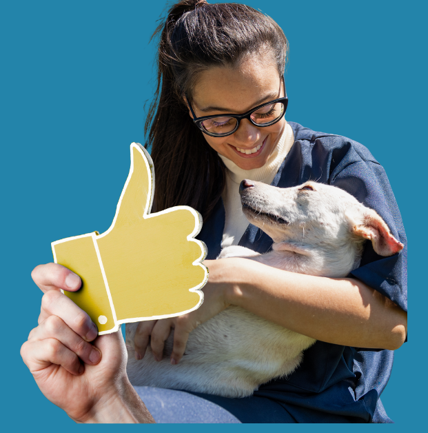 educateur-canin-intensif.jpg