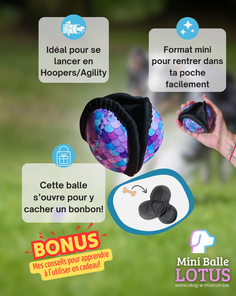 Mini Balle Lotus