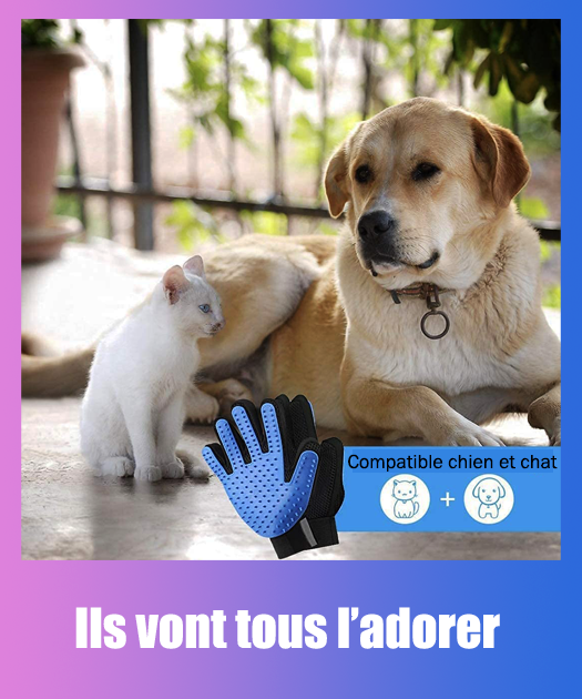 Gant de toilettage multifonction