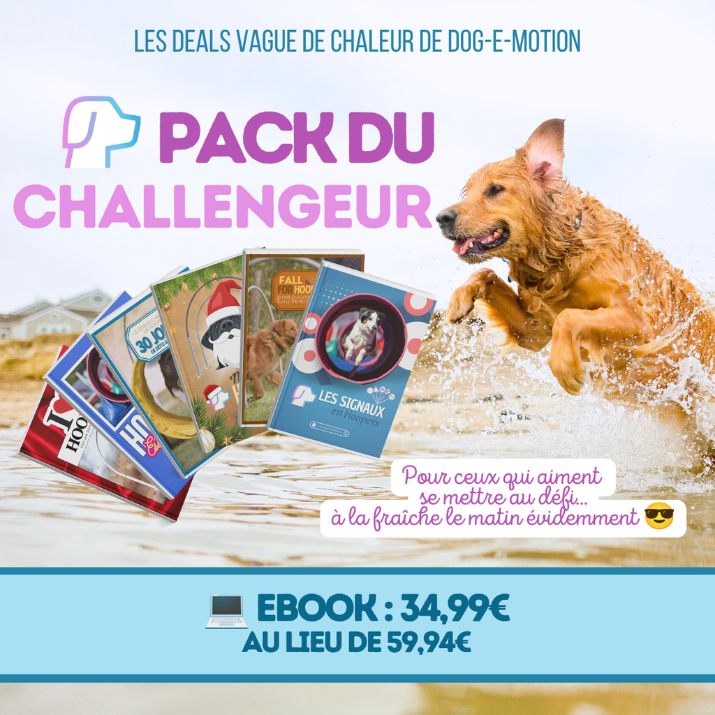 Deals vague de chaleur: Pack du Challengeur (EBOOK)