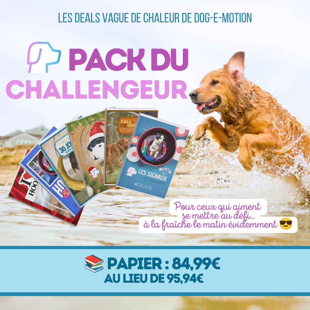 Deals vague de chaleur: Pack du Challengeur (PAPIER)