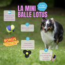 Mini Balle Lotus
