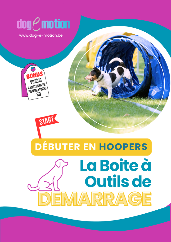 Débuter en Hoopers: la Boite à Outils de Démarrage (ebook) (Français)