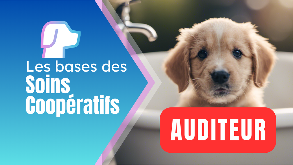 Les bases des soins coopératifs - Auditeur