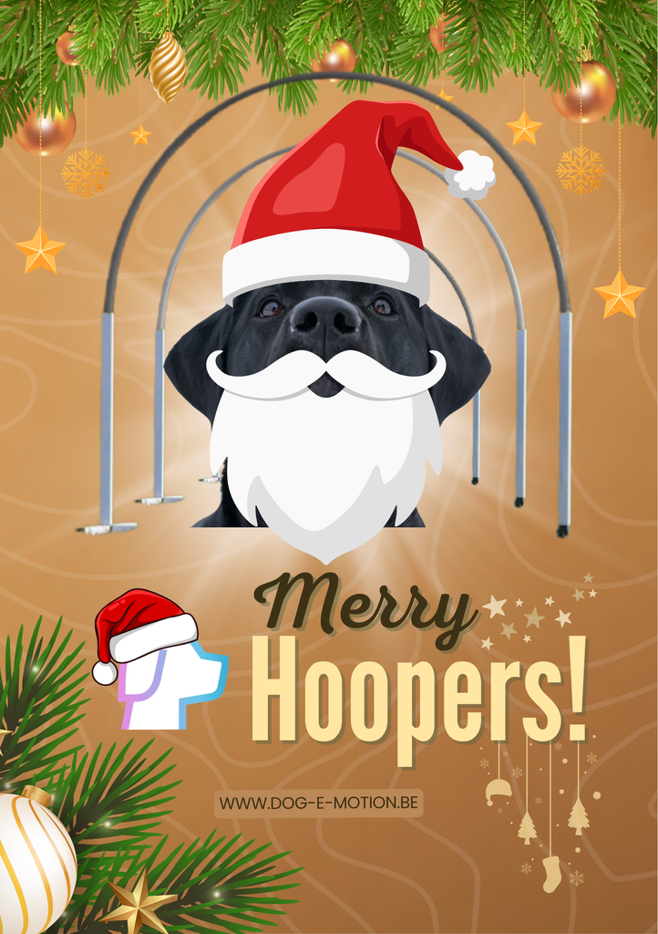 Merry Hoopers