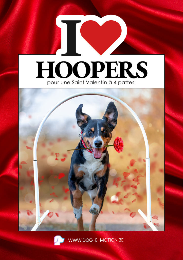 I love Hoopers - pour une Saint Valentin à 4 pattes! (papier)