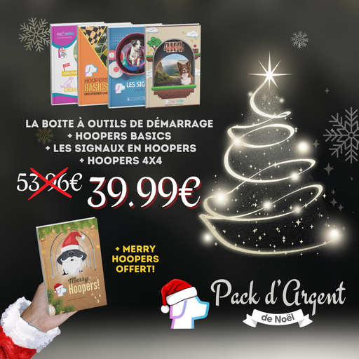Pack d'Argent de Noel 2025