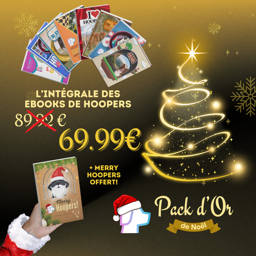 Pack Or de Noël 2025