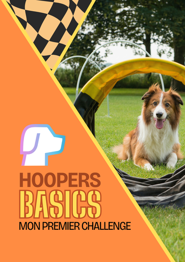 Hoopers Basics: Mon Premier Challenge (version papier)