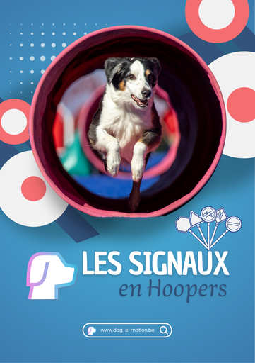 Les Signaux en Hoopers (version ebook)