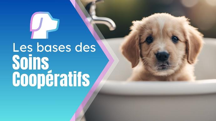 Les bases des soins coopératifs
